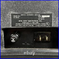 1964 Magnatone M14 2x8 Vintage Estey Era Tube Combo Amplifier