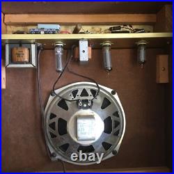 Custom Kraft Fireball 600 Vintage Tube Amp 1960's