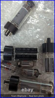 DEFECTIVE RaulandBorg Model 2075 Vintage Tube PA Amplifier Head G3D
