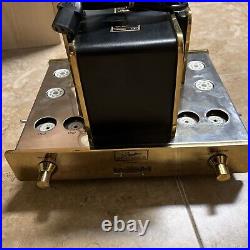 HOUSTON TPS-03S HIFI Tube Power Amplifier GOLD SERIES RARE AS PROJECT