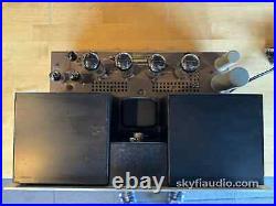 Marantz Model 9 Vintage Tube Monoblock Amplifier (Single) THE Holy Grail Ear