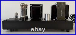 Matched PAIR of VTG Sound Valves M40 Mono Tube Power Amplifiers Dynaco MK IV