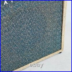 Maxim Vintage 1x8 240v Tube Combo Amp 1960s White