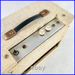 Maxim Vintage 1x8 240v Tube Combo Amp 1960s White