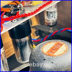 Maxim Vintage 1x8 240v Tube Combo Amp 1960s White