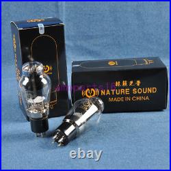 One Matched Pair Vacuum Nature Sound TUBE Test LinLai 300B Vintage HIFI AMP DIY
