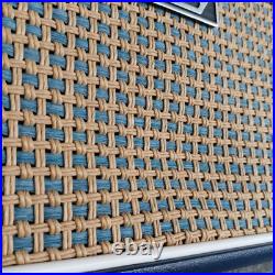 RARE Laney Mini-Lion Portable Tube Guitar Amp Vintage British Tone! Japan