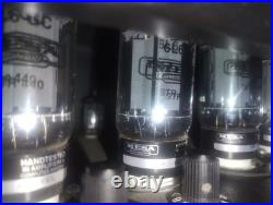 Rare Vintage Mesa/Boogie Bass 400 Tube Amp+ Mesa SUS-4 Shock-Mount Case