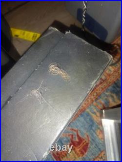 Rare Vintage Mesa/Boogie Bass 400 Tube Amp+ Mesa SUS-4 Shock-Mount Case