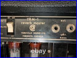 Traynor YRA-1 Reverb Master Tube Guitar Amplifier Head Amp Vintage Rebuilt