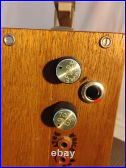 Vintage Home Built Guitar, Harp, Amplifier withSpeaker in Custom Box OOAK (1950s)