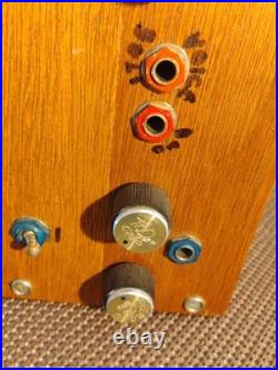 Vintage Home Built Guitar, Harp, Amplifier withSpeaker in Custom Box OOAK (1950s)