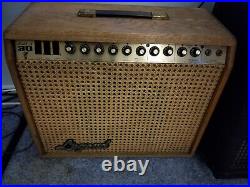 Vintage Legend Model A30 Guitar Amplifier Tube Preamp RARE