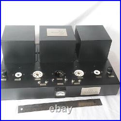 Vtg Stereo Tube Amplifier by DPA model SE-11W With F2a tubes by Tube Guru Hungary